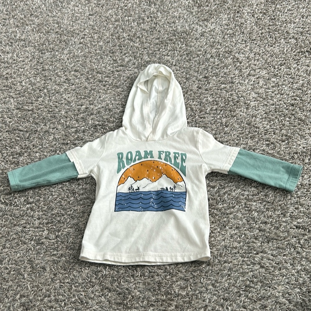 Garanimals graphic T- shirt 12 months toddler boy. Long sleeve with hood